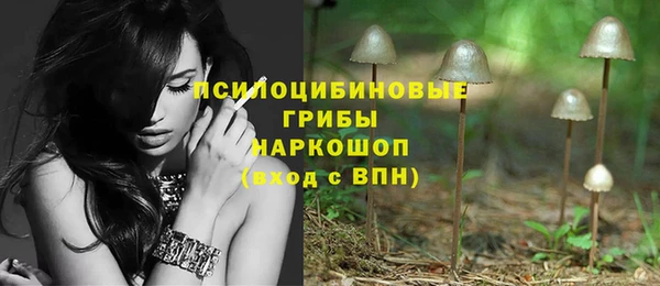 хмурый Анжеро-Судженск