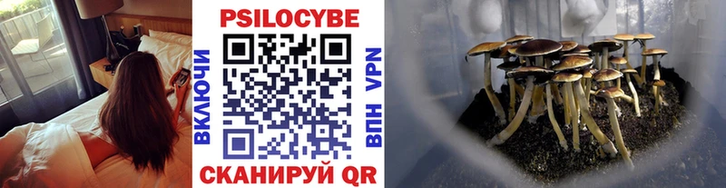 Псилоцибиновые грибы мухоморы  Таштагол 