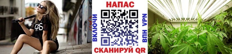 Бошки марихуана семена  Таштагол 
